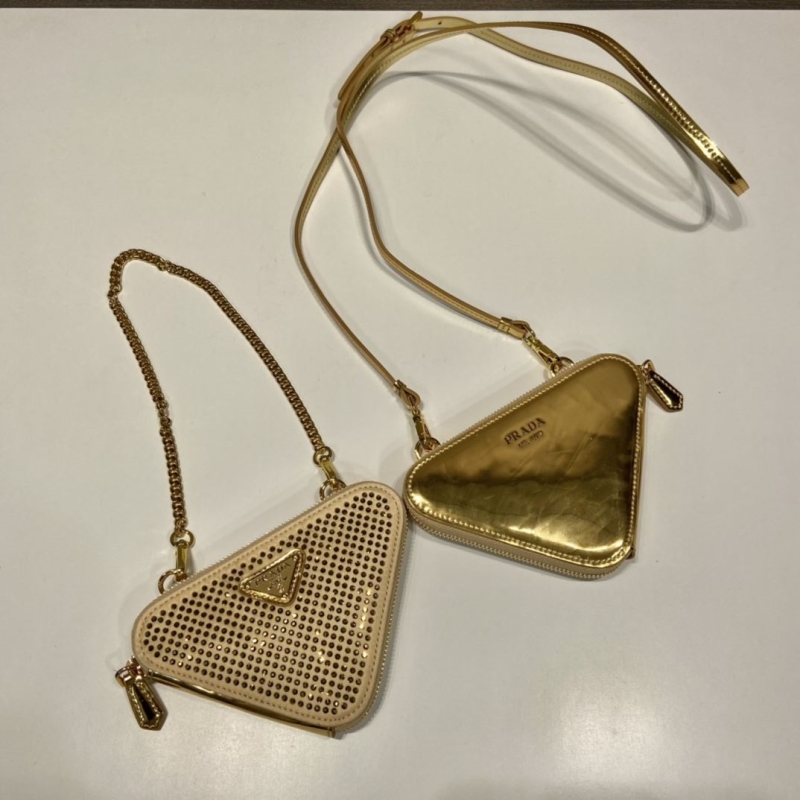 Pra*a triangle pouch